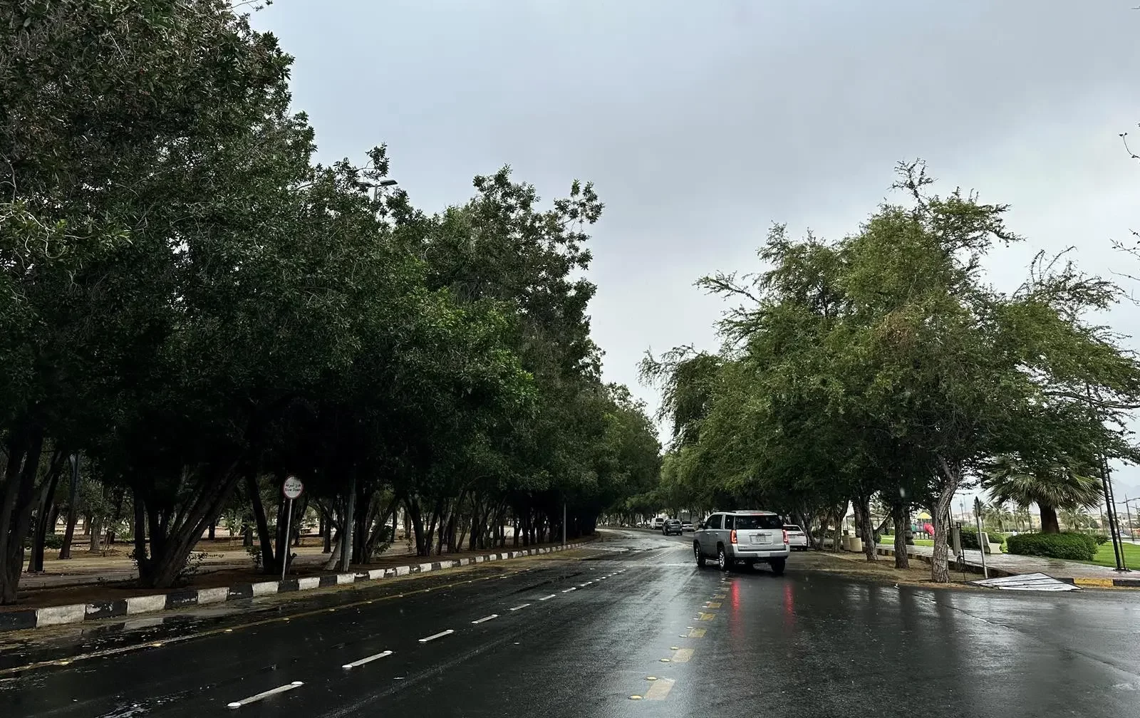 توقعات الطقس اليوم: أمطار متوقعة في أربع مناطق مختلفة