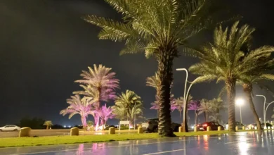 جمالية أمطار أملج في ليالي السكون