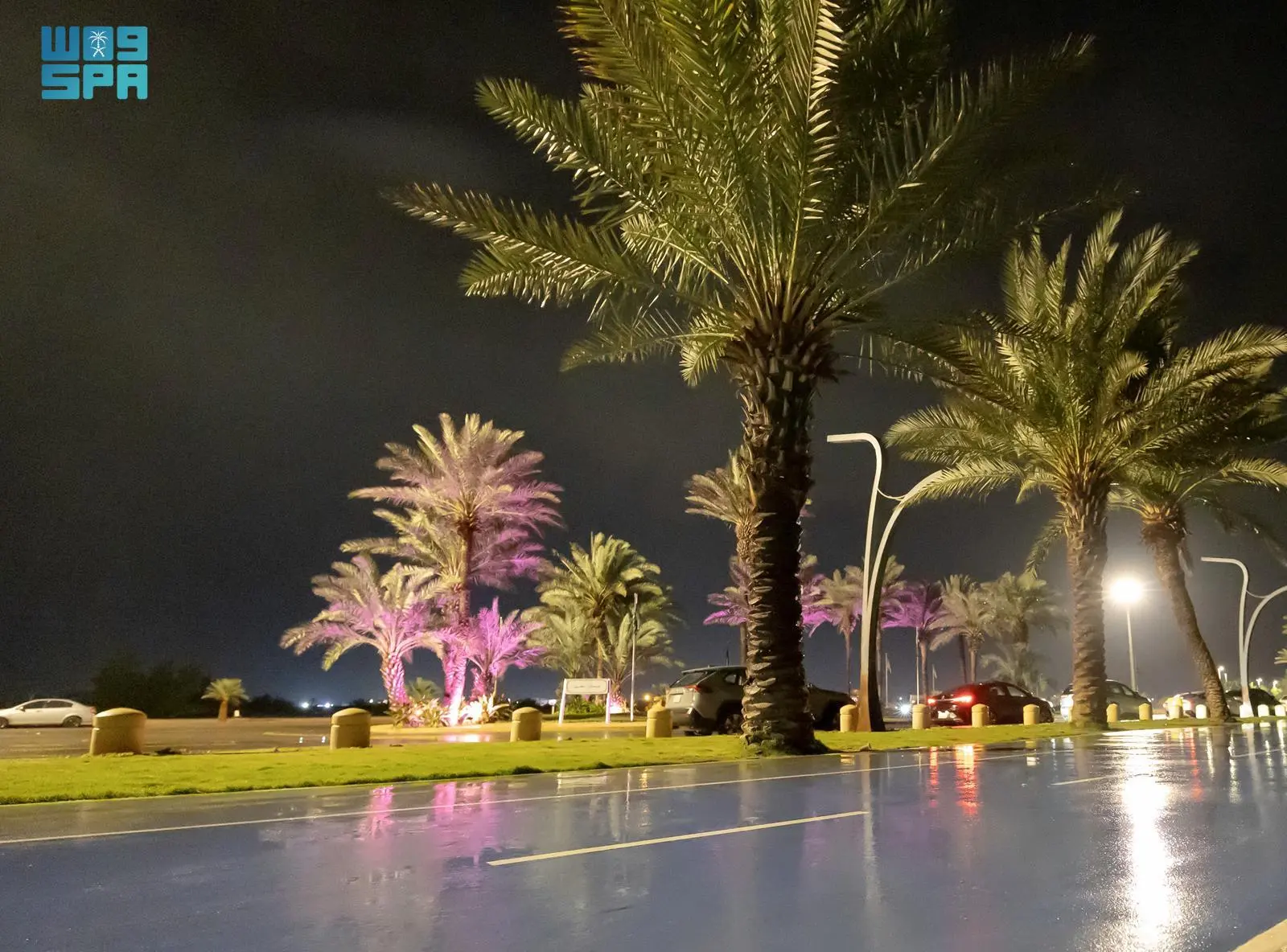 جمالية أمطار أملج في ليالي السكون