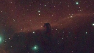 رصد ظواهر السدم: دراسة حالة سديم رأس الحصان بالقصيم