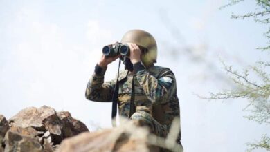 ضبط 19790 مخالفًا و15 متورطًا في جرائم مخلة بالشرف والأمانة