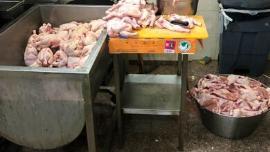 ضبط 760 كيلو من الأسماك والدواجن الفاسدة في منطقة عسير