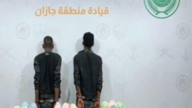 ضبط حرس الحدود 120 كيلوجرامًا من القات مهربة بواسطة إثيوبيين في جازان