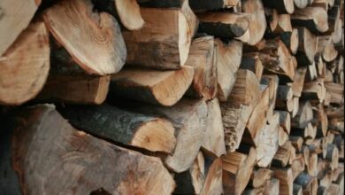 ضبط عمليات نقل الحطب المحلي في المدينة المنورة وأثرها على البيئة