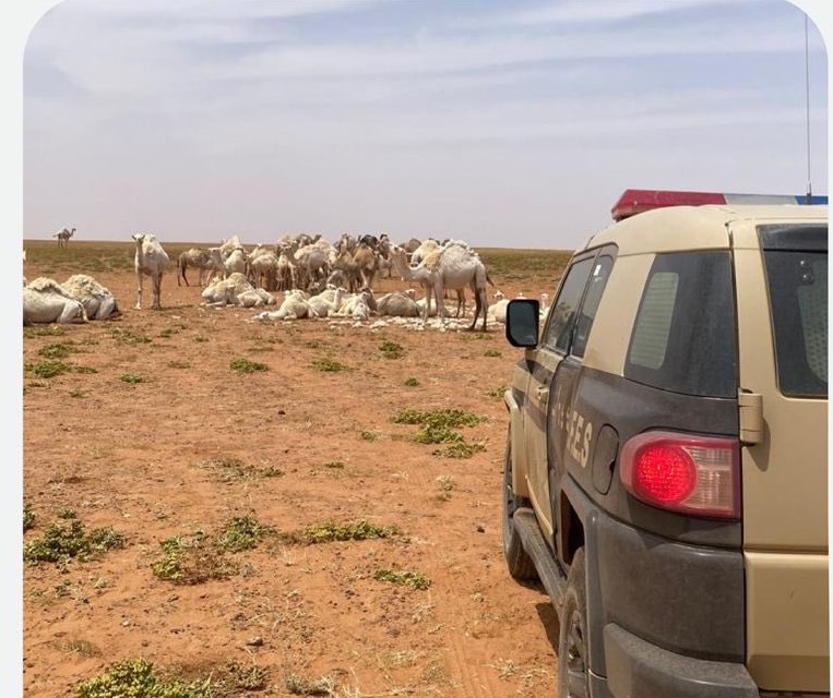 ضبط مواطن متسبب في حريق محمية طويق الطبيعية