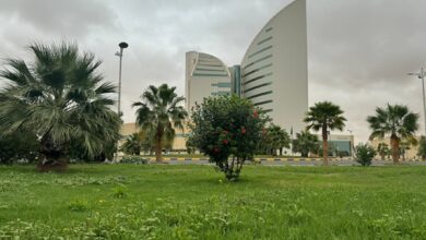 فرص التطوع في جامعة نجران: 414 مبادرة بمشاركة 3500 متطوع ومتطوعة