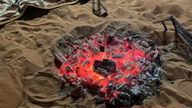 مراقبة وإجراءات قانونية ضد إشعال النار في محمية الملك عبد العزيز