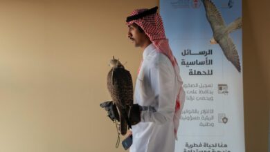 نادي الصقور السعودي يعزز التوثيق القانوني لملكيات الصقور