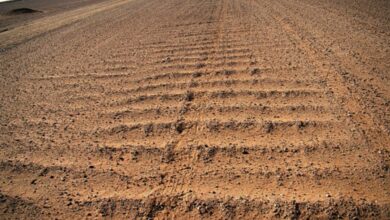 أسباب ظهور تموجات البطناج على الطرق الوعرة: تحليل علمي شامل