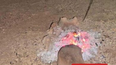 الأمن البيئي يبذل جهداً لمكافحة المخالفات في محمية الأمير محمد بن سلمان