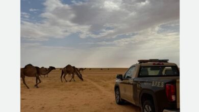 الأمن البيئي يلاحق مخالفًا لنظام البيئة في محمية الملك عبدالعزيز