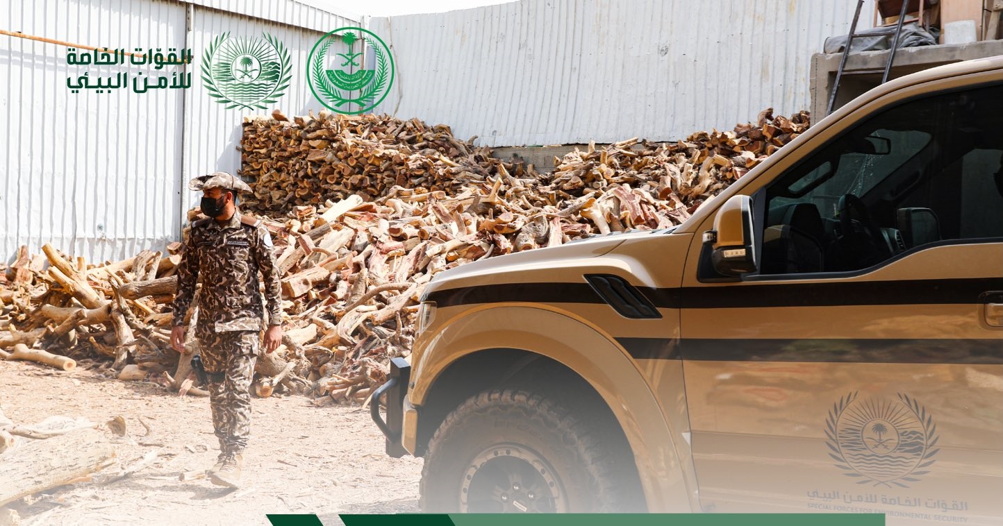 الأمن والحماية تُلقي القبض على مواطن في تبوك بتهمة حيازة حطب محلي