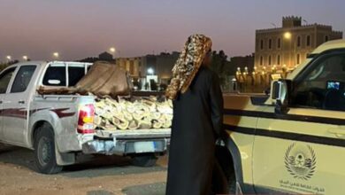 الجهات البيئية في الرياض تتصدى لمخالفات نقل الحطب المحلي