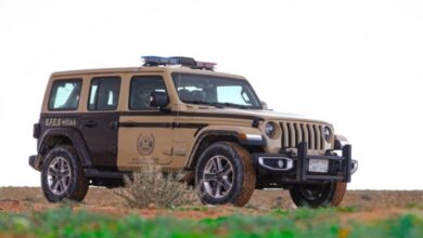 الجهات البيئية في المدينة المنورة تضبط متورطاً في اقتلاع وحرق الأشجار لإنتاج الفحم