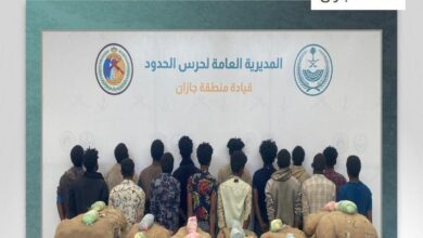 السلطات في جازان تتصدى لتهريب 320 كيلو من القات وتقبض على 16 متهمًا