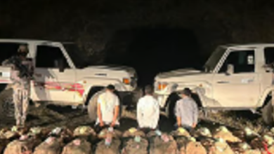 القبض على ثلاثة مواطنين لتهريب 500 كجم من القات في جازان