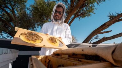 انطلاق النسخة الخامسة لموسم النحالين 2026 في محمية الإمام تركي بن عبدالله الملكية