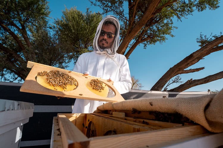 انطلاق النسخة الخامسة لموسم النحالين 2026 في محمية الإمام تركي بن عبدالله الملكية