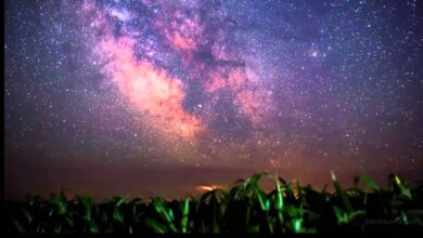 انطلاق موسم العقارب: بداية المرحلة الثالثة من فصل الشتاء