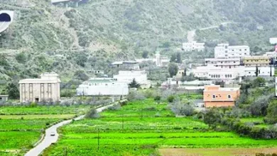 برنامج ريف: التسجيل متاح مجانًا وبدون أي تكاليف