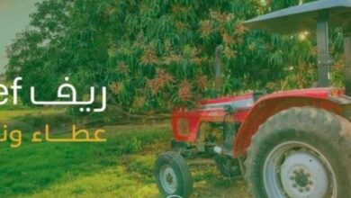 برنامج ريف: الدعم غير متاح للمسجلين في التأمينات الاجتماعيّة