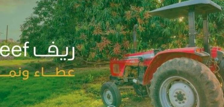 برنامج ريف يكشف عن موعد الإعلان عن نتائج الأهلية