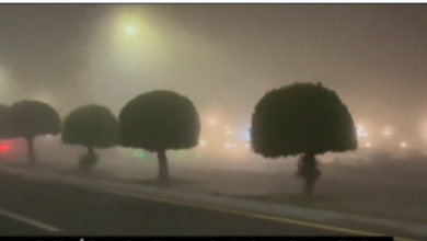 تحذير: ضباب كثيف يسيطر على المنطقة الشرقية حتى صباح الغد