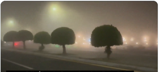 <p><strong>تحذير: ضباب كثيف يسيطر على المنطقة الشرقية حتى صباح الغد</strong></p>