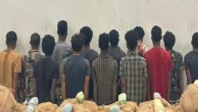 حرس الحدود ينجح في القبض على 13 شخصًا متورطًا في تهريب 280 كجم من القات المخدر