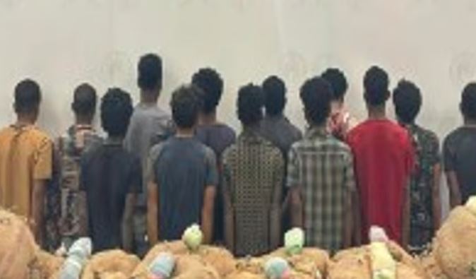 حرس الحدود ينجح في القبض على 13 شخصًا متورطًا في تهريب 280 كجم من القات المخدر