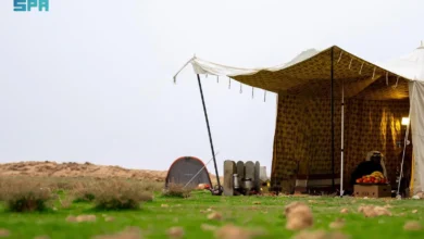 رحلة بصرية عبر الربيع: استكشاف جمال المناظر الطبيعية شرق رفحاء