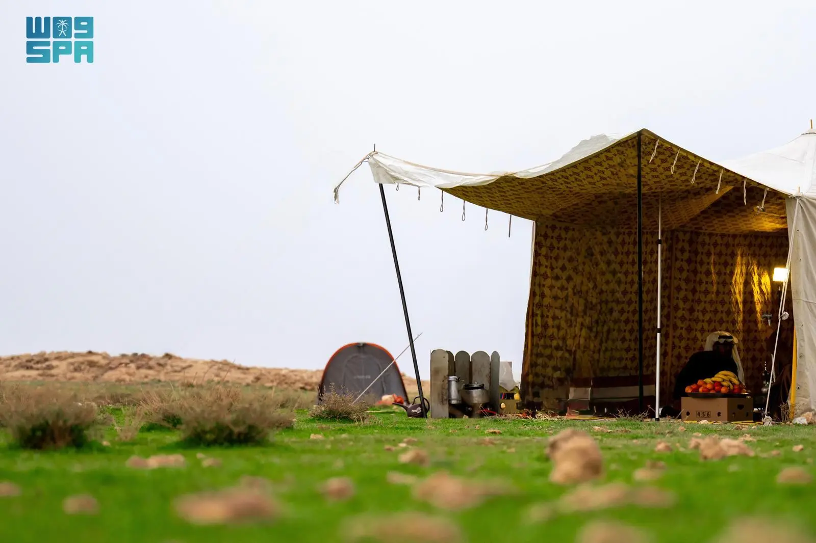 رحلة بصرية عبر الربيع: استكشاف جمال المناظر الطبيعية شرق رفحاء