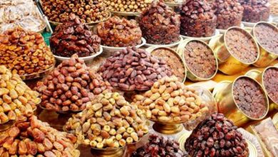زيادة ملحوظة في الطلب على تشكيلة التمور المتنوعة بقرية النخيل
