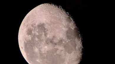 سماء محمية الإمام تركي تشهد 7 ظواهر فلكية مبهرة في فبراير 2026