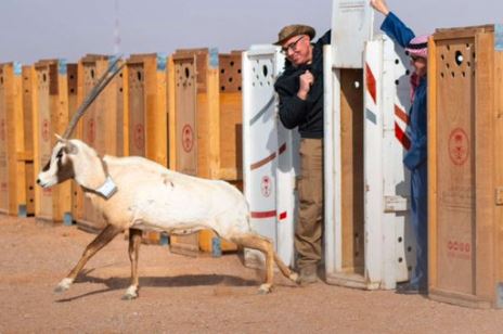مركز الحياة الفطرية يعلن عن إطلاق أكثر من 10,000 كائن جديد