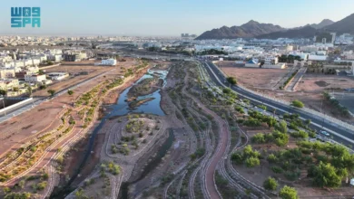 وادي العقيق: مزيج من التراث النبوي وسحر الطبيعة في قلب المدينة المنورة