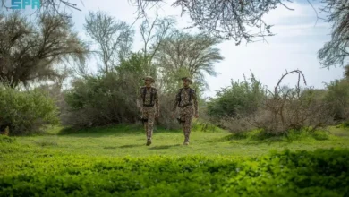 وزارة الداخلية تساهم في تعزيز مفهوم حماية البيئة ودعم جهود تنمية الغطاء النباتي