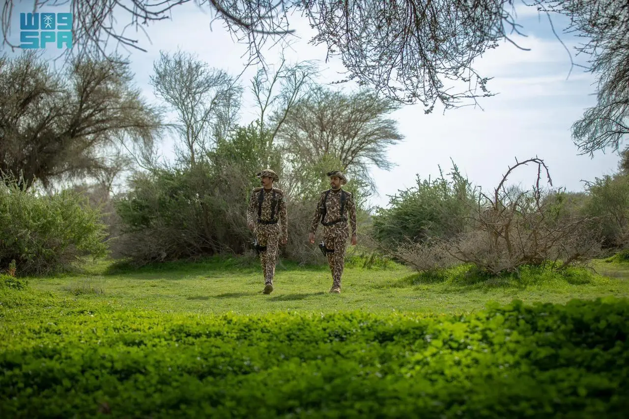 وزارة الداخلية تساهم في تعزيز مفهوم حماية البيئة ودعم جهود تنمية الغطاء النباتي