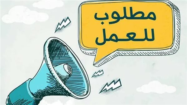 2289 فرصة عمل في 34 شركة بـ9 محافظات برواتب مجزية