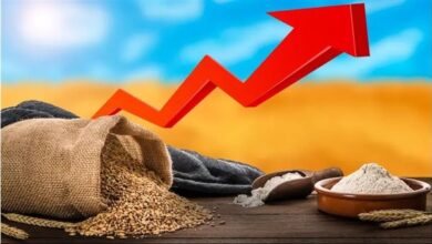 أكبر منتج عالمي للأسمدة يحذر من خطر أزمة غذاء عالمية بسبب استمرار الحرب مع إيران