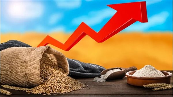 أكبر منتج عالمي للأسمدة يحذر من خطر أزمة غذاء عالمية بسبب استمرار الحرب مع إيران