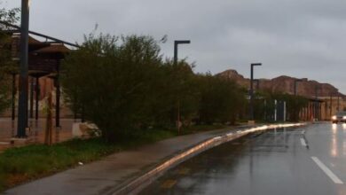 أمطار الخير تتساقط على محافظة الأحساء: تباشير فصل جديد