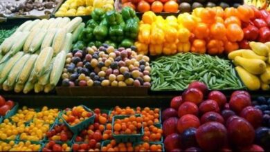 ارتفاع الطلب على المحاصيل الزراعية المصرية في الأسواق العربية