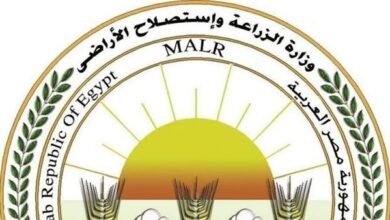 الزراعة تطلق الحملة القومية للتحصين ضد الجلد العقدي في الأبقار وجدري الأغنام