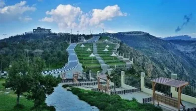 السلطات في الباحة تضبط متسولاً وتحذر من قنوات التبرع غير الرسمية