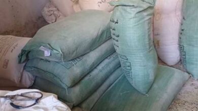 الشرقية تعلن عن تكثيف الحملات اليومية على الأسواق والمخابز والأنشطة التجارية