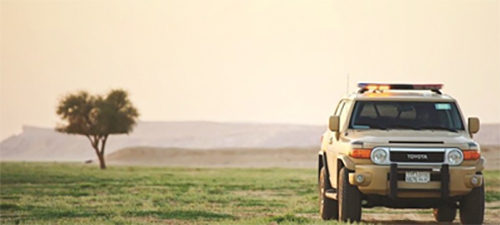 القبض على مواطن لإشعال النار في مناطق غير مخصصة في المدينة المنورة