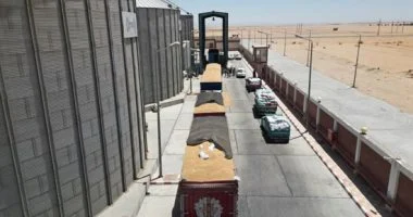 المحاسبات تكشف ملابسات بيع مخلفات مطاحن القاهرة بـ11 ألف جنيه مقابل سعر الدقيق