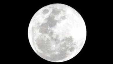 بدر رمضان يضيء آفاق الوطن العربي بخطوطه المتلألئة