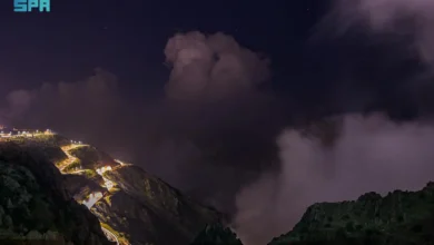 تحذير: تشكل ضباب كثيف في منطقة الباحة حتى صباح الغد